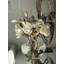 10" Moon Vase With White Magnolias	-655694346