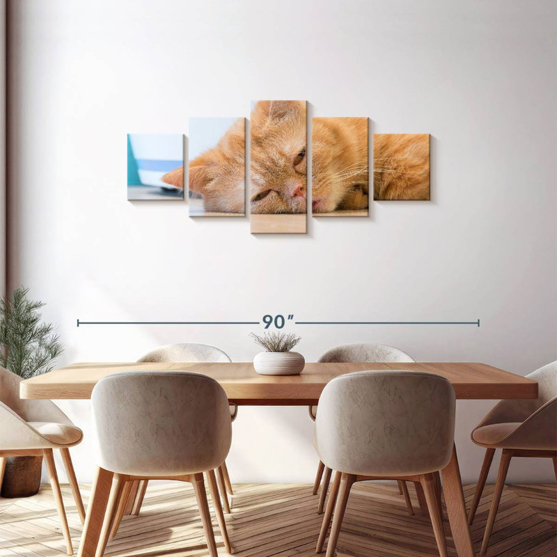 Sleeping Cat, 30" H x 68" W
