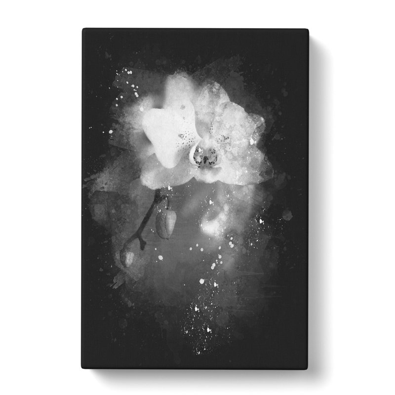 Pretty White Orchid - Wrapped Canvas Painting, 50cm H x 35cm W x 3cm D