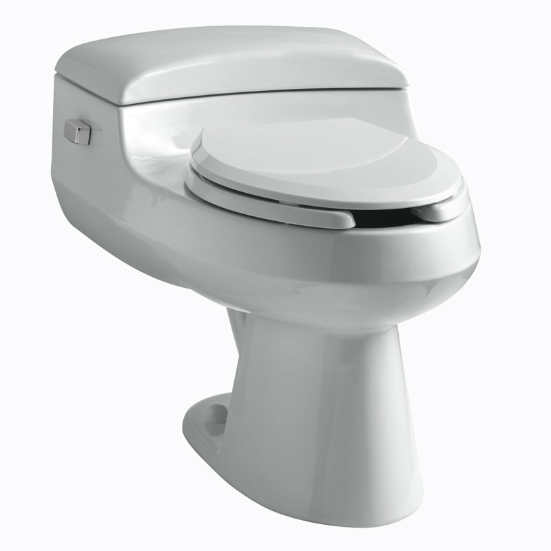 San Raphael® 1 GPF Water Efficient Elongated One-Piece Toilet (Seat Included), Thunder Gray