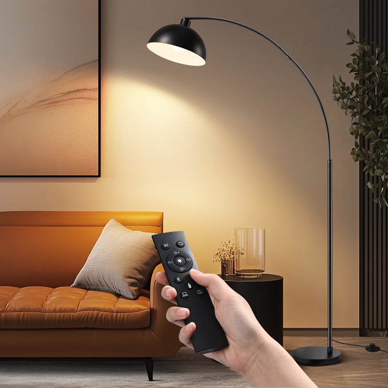 Lampe sur pied arquée / arquée 78,4 po Bynaker, Avec télécommande, Interrupteur-pédale, Mat