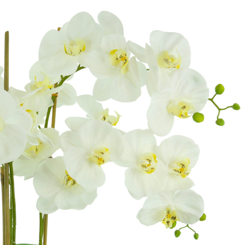 Orchid Arrangement in a Round Fiberstone Planter