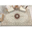 Elegance Oriental Area Rug