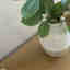 Customer photo 2 of 4
