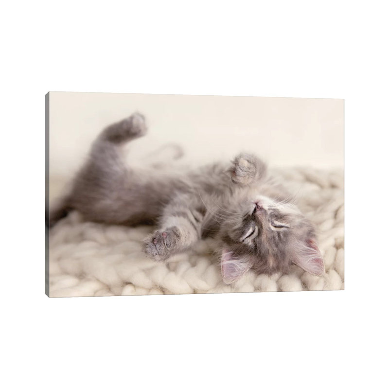Carmella 1 Piece Wall Art on Canvas, 30.48 cm H x 45.72 cm W, Wrapped Canvas