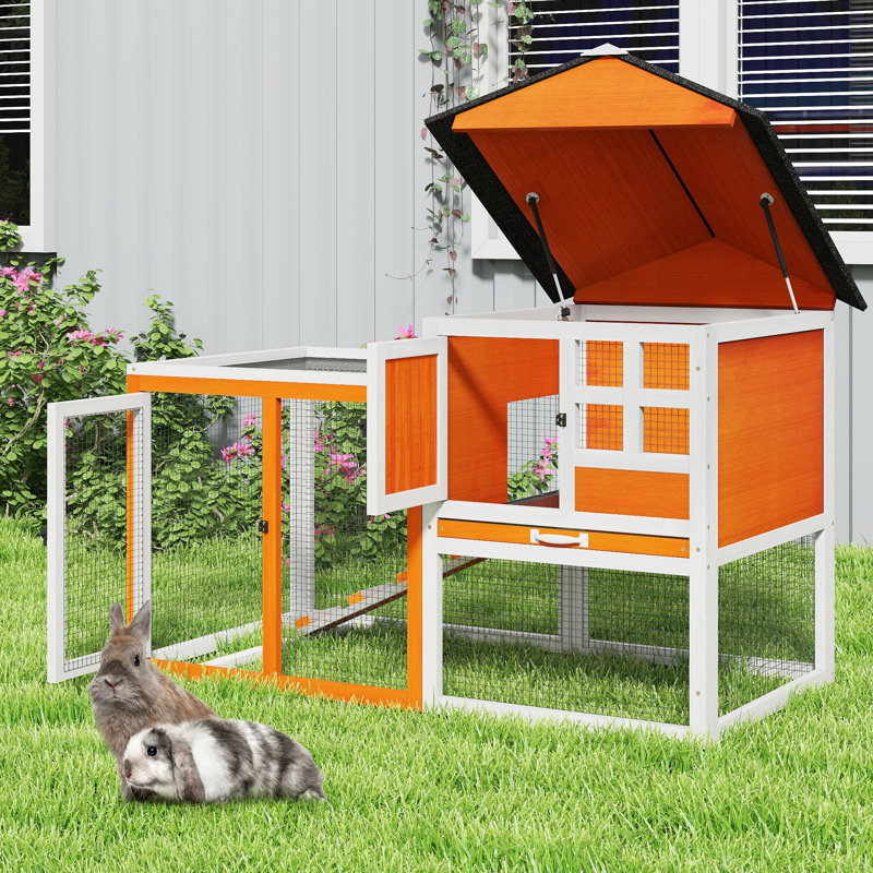 Cage pour petits animaux avec rampe Daleysa, Orange / noir