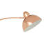 Coulson 143cm Arched Floor Lamp