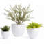 Pot à fleur Dorlis Fiberstone-881441130-881441128