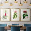 «Pretty Pink Botanicals VII», reproduction sur mesure encadrée de qualité supérieure - 3 pièces-550655968-550655998