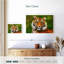 Tigre aux yeux verts Brampt-108694292