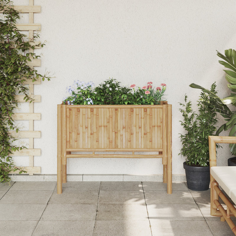 Pot Planter, 70cm H x 90cm W x 35cm D