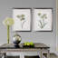 «Neutral Botanical I», ensemble de 2 reproductions de peintures à l'acrylique encadrées-28785932