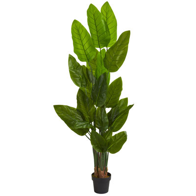 Canna 72'' Faux Foliage Tree in Planter