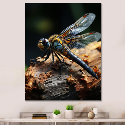 " Brown Dragonfly Portrait Vibrant "