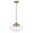 Ingalls 1-Light Dimmable Schoolhouse Pendant-1994476705-1994476704