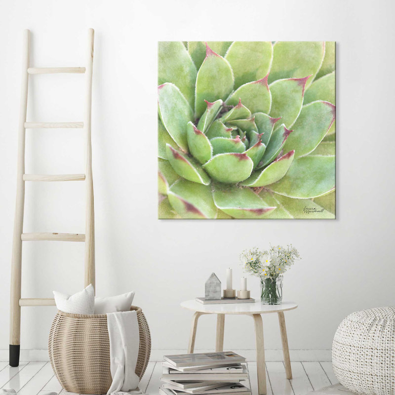 «Garden Succulents IV Color», reproduction de photo, H 28 po x l 28 po x P 1,5 po, Toile tendue