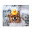 No Frame Print on Canvas