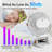 Biyori Clip Fan with Adjustable Speeds Night Light Versatile 3-in-1 Design-98235933