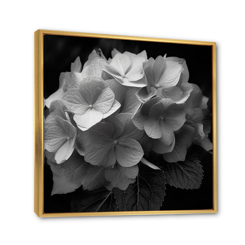 Hortensia grise blanche et grise III sur toile, H 30 po x l 30 po x P 1,5 po, Cadre flottant doré