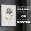Botanical Beauty II - Impression sur toile seulement - NON CADRE-118058046