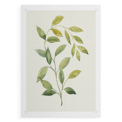 Wilted Vine I -Canvas Print Only - NOT FRAMED