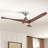 Cairo 52'' Ceiling Fan with LED Lights-1370779898