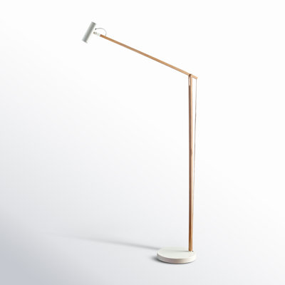 Dalila 60.5'' Dimmable LED Floor Lamp