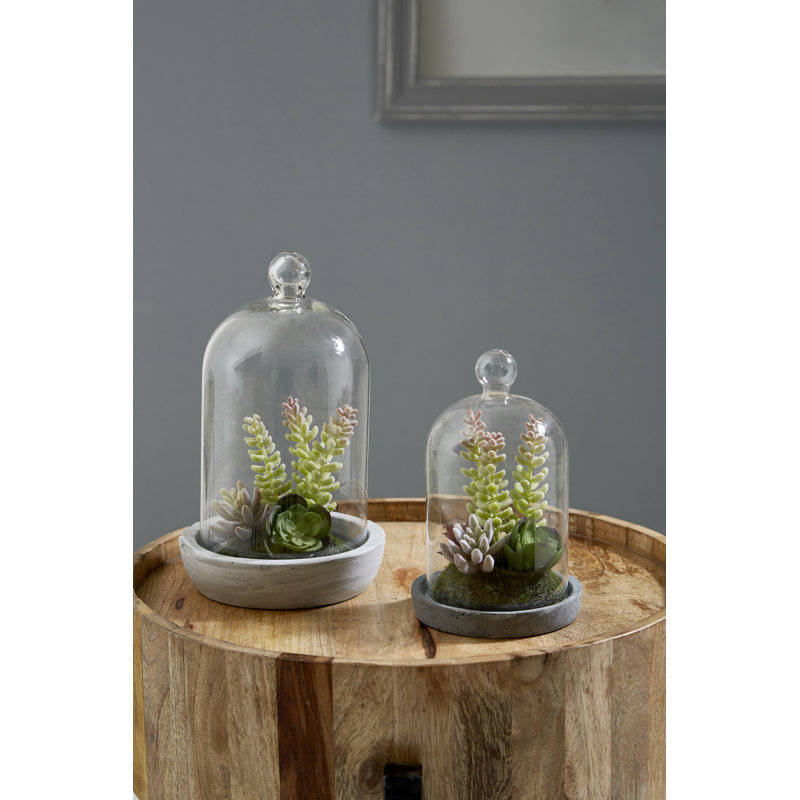 Sydnee 18cm Succulent in Cement Terrarium