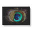 Peacock Feather - Wrapped Canvas-61877635
