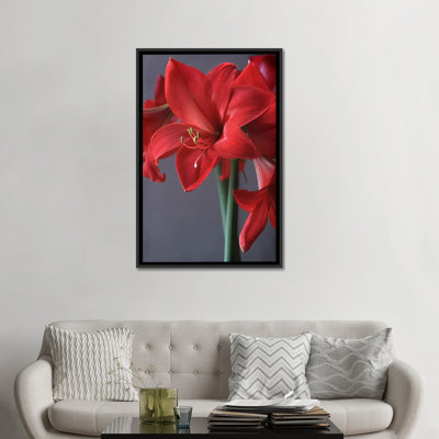 Alyson Fennell - Wrapped Canvas Graphic Art
