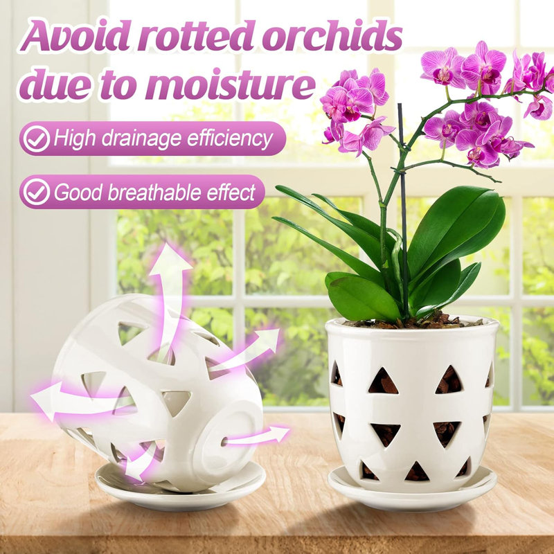 6" Ceramic Orchid Pot With Drainage Triangle Style