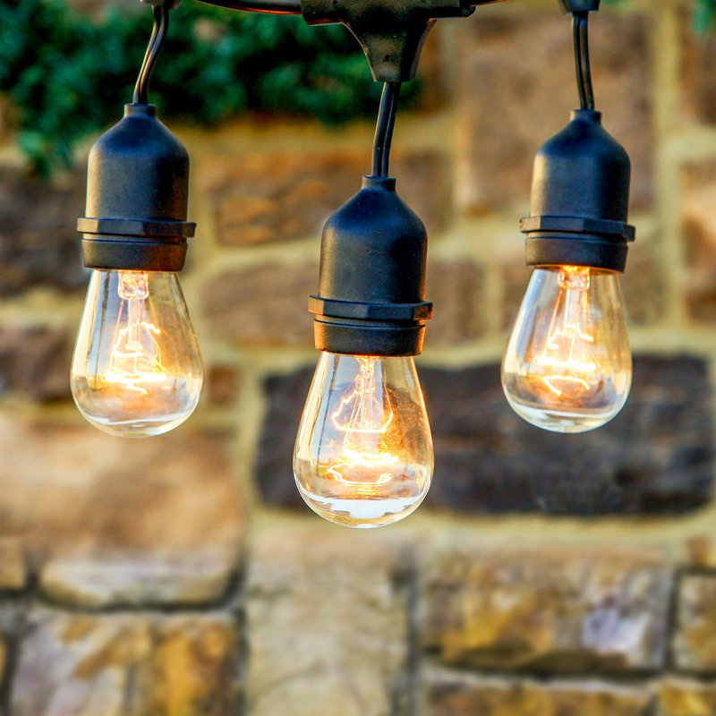 Guirlande de lumières d'extérieur incandescentes Ambience Pro de 48 pi avec 15 ampoules rétro Edison S14, résistant aux intempéries et cordon de qualité commerciale