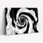 «Black and White Rose», ensemble de 1 reproduction d'art sur toile tendue sur toile-1515361034