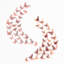 Butterflies Mix Wall Sticker