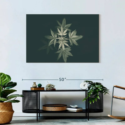 Marijuana In Black