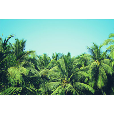 Coconut Palm Trees At Tropical Beach Vintage Filter by Thedafkish - Wrapped Canvas Print