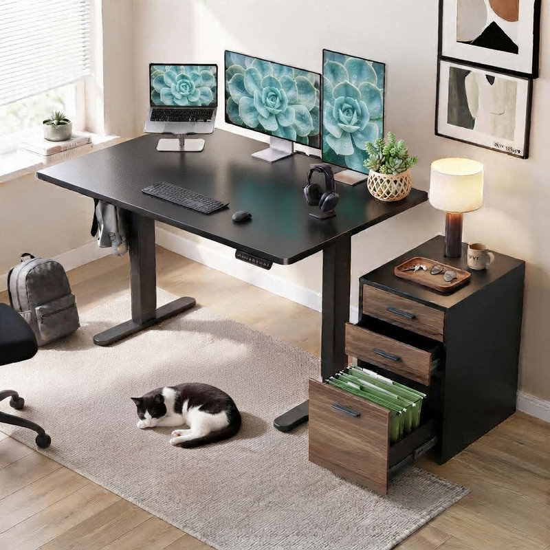 Ensemble de bureau à domicile 2 pièces : bureau assis-debout électrique réglable en hauteur de 122 cm (48 po) noir avec 4 positions mémorisables, système de gestion des câbles et crochets, et classeur à 3 tiroirs en noyer noir