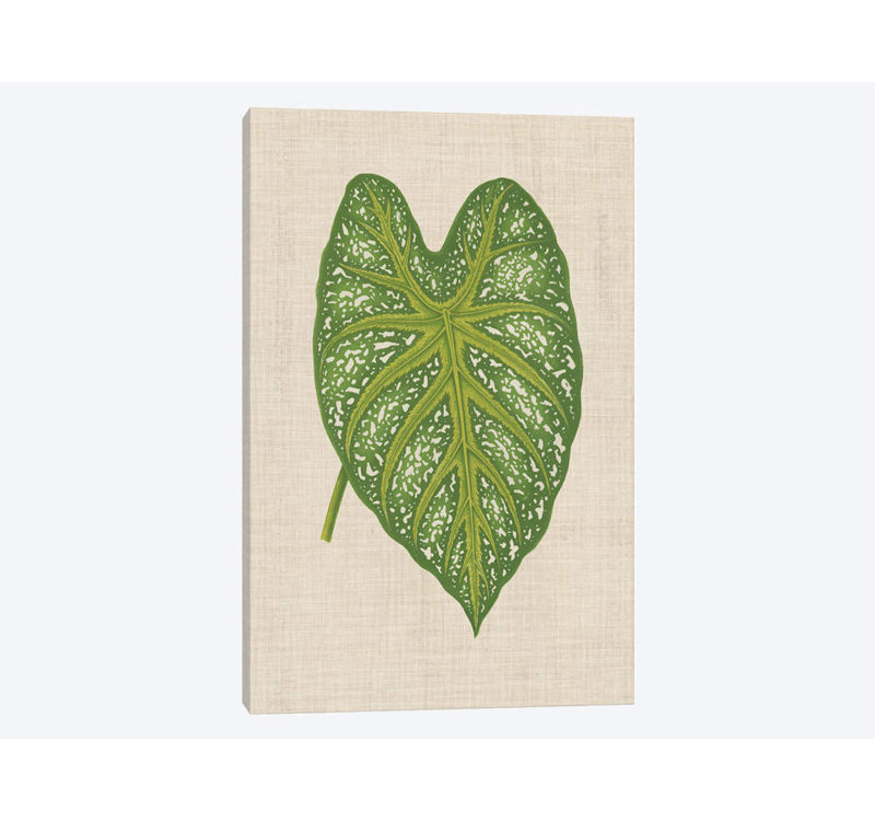 « leaves on linen i », impression sur toile, H 26 po x l 18 po x P 1,5 po, Toile tendue