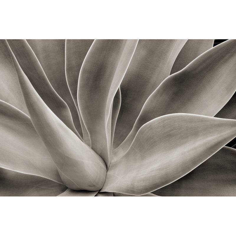 Cactus abstrait par Hadelproductions, H 8 po x l 12 po