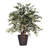 48'' Faux Tree in Wicker/Rattan Basket
