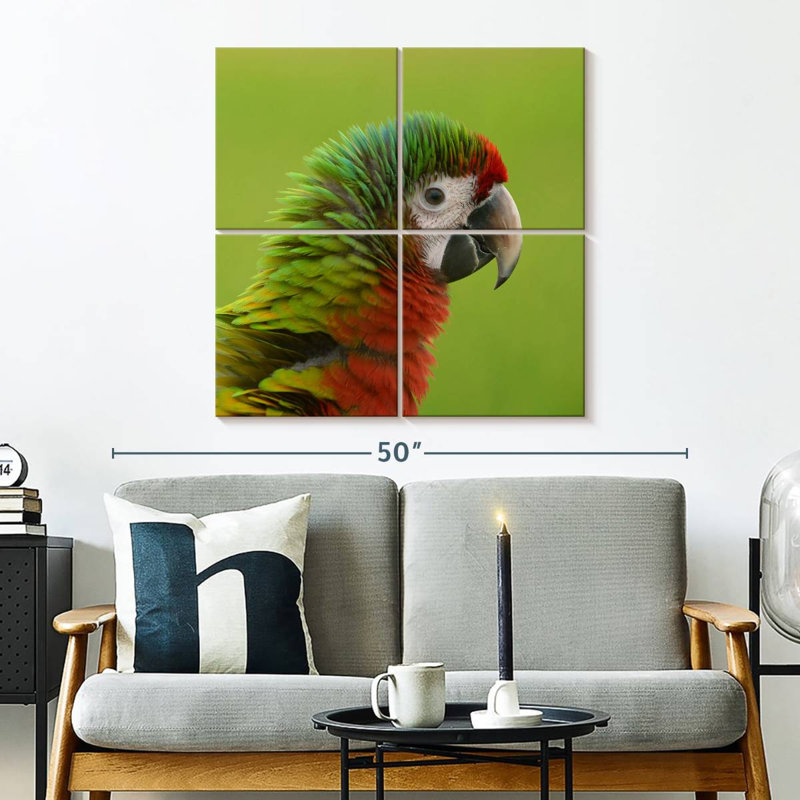 Brampt Macaw Bird Head, 32" H x 32" W