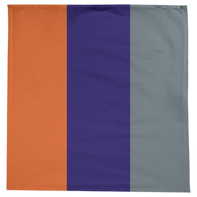 Denver Basketball Tablecloth