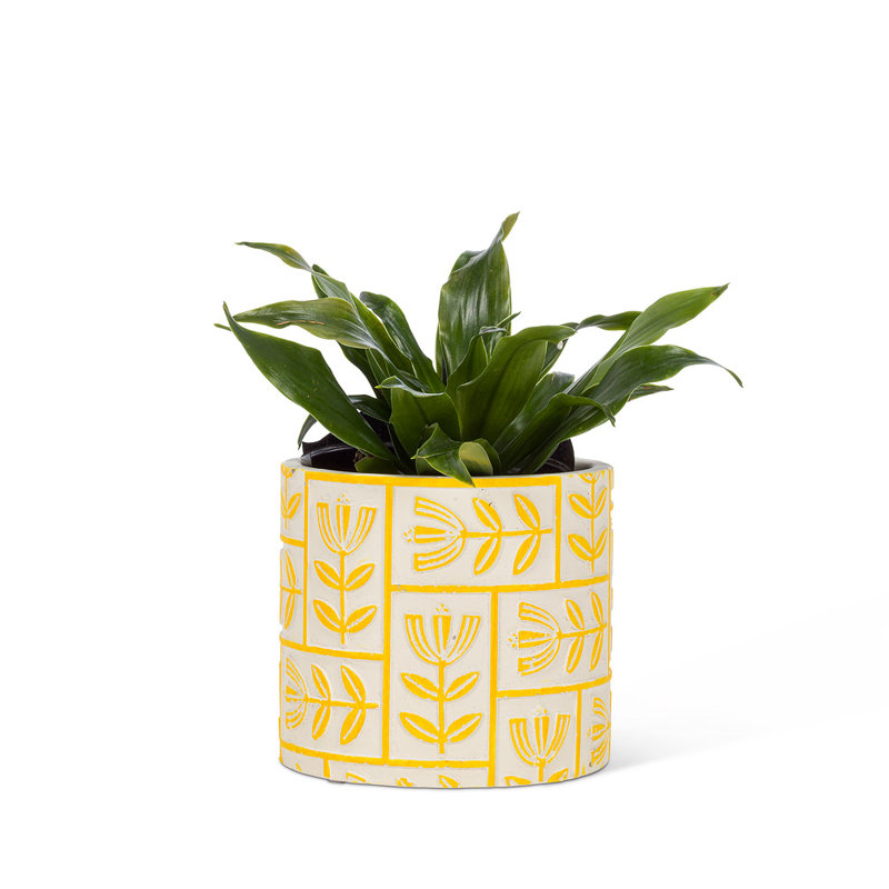 Cache-pot en béton