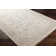 Bogaerts Viscose Oriental Indoor Rug