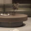 Table basse moderne et simple ovale-112691258