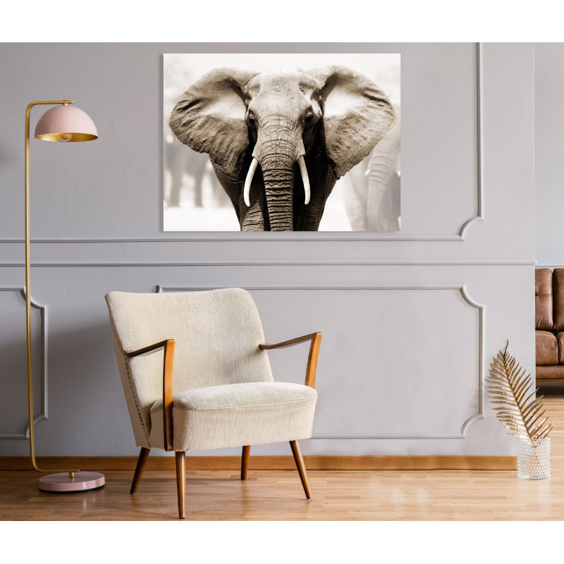 African Elephant by Anonymous - Wrapped Canvas Print, 70cm H x 100cm W x 4cm D