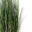 Gazon vert en pot Kellan-22996676
