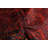 Rizbaft Red Rug 3'4" x 5'7"