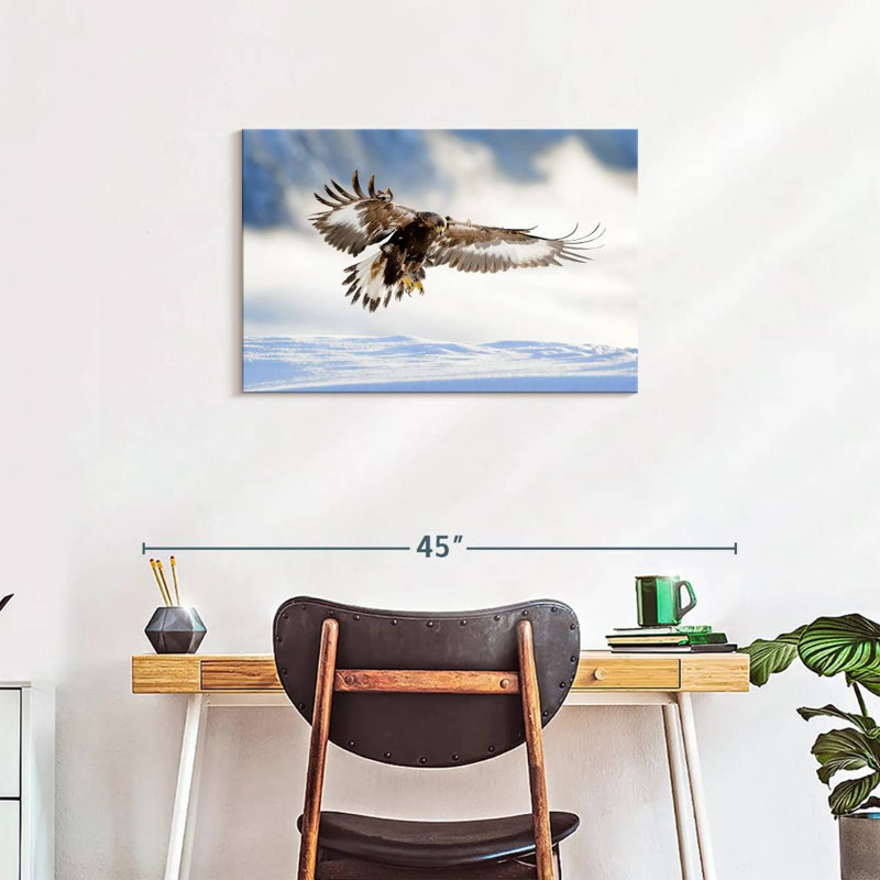 Brampt Norwegian Golden Eagle, 20" H x 30" W