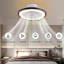 Charley-Anne Ceiling Fan with Light Kit